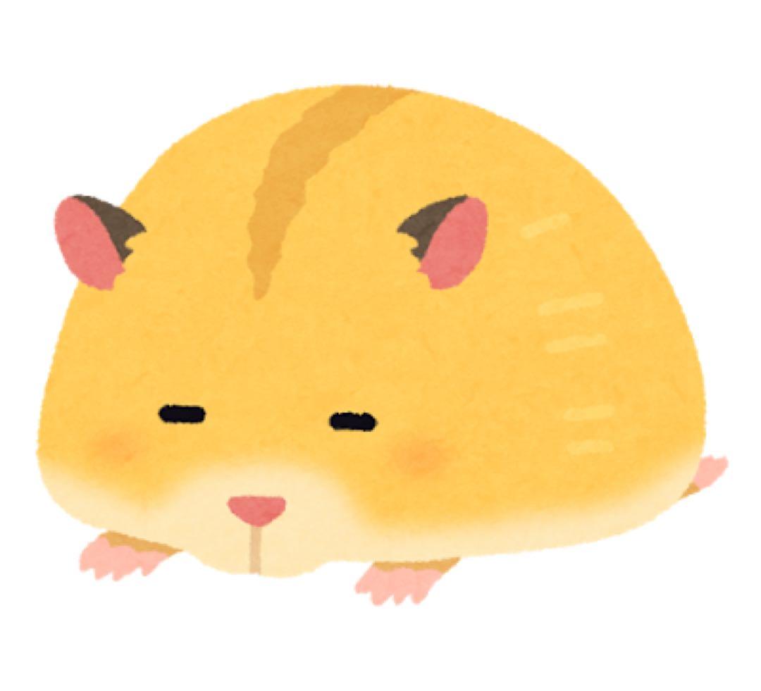 ハム太郎様（こあら様）専用ページ