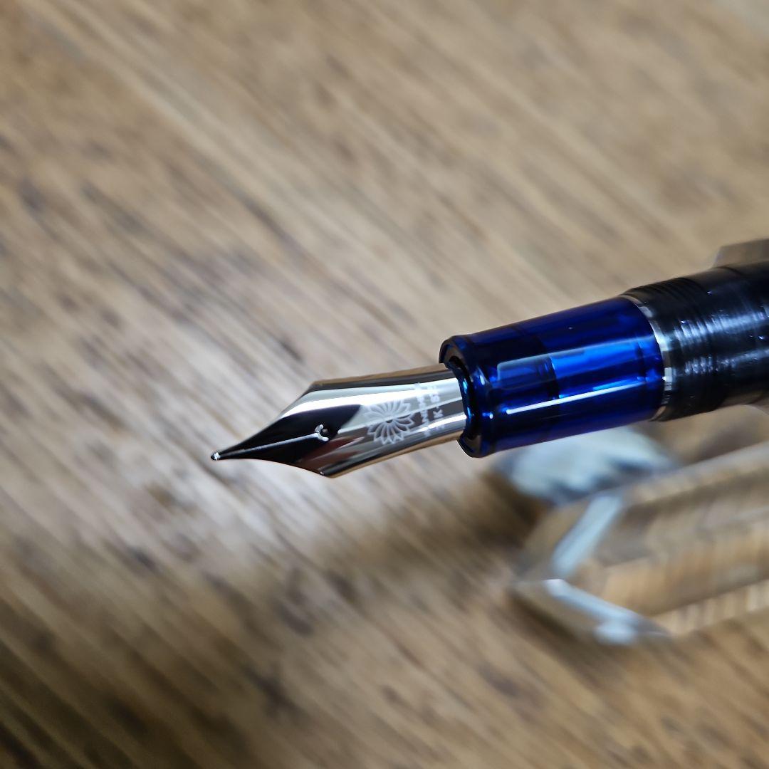 【WANCHER/ワンチャー】デトロイト スターリングナイト青銀スケルトン２１K