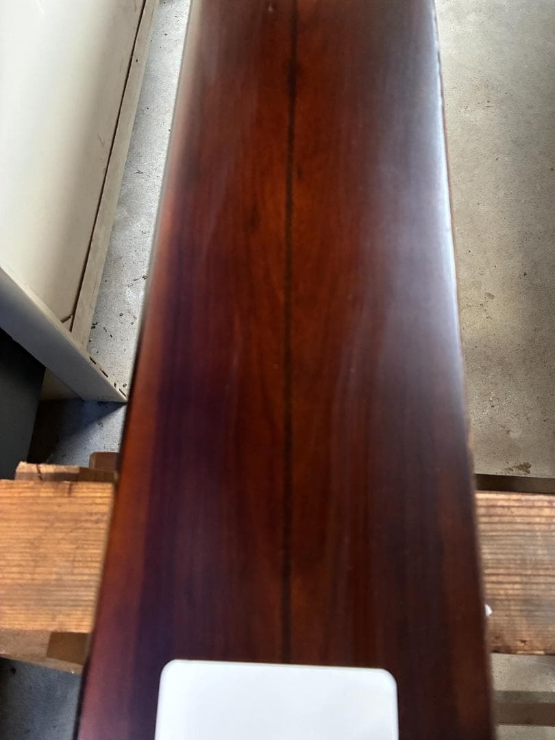 床柱　インドローズ　５寸（15ｃｍ）