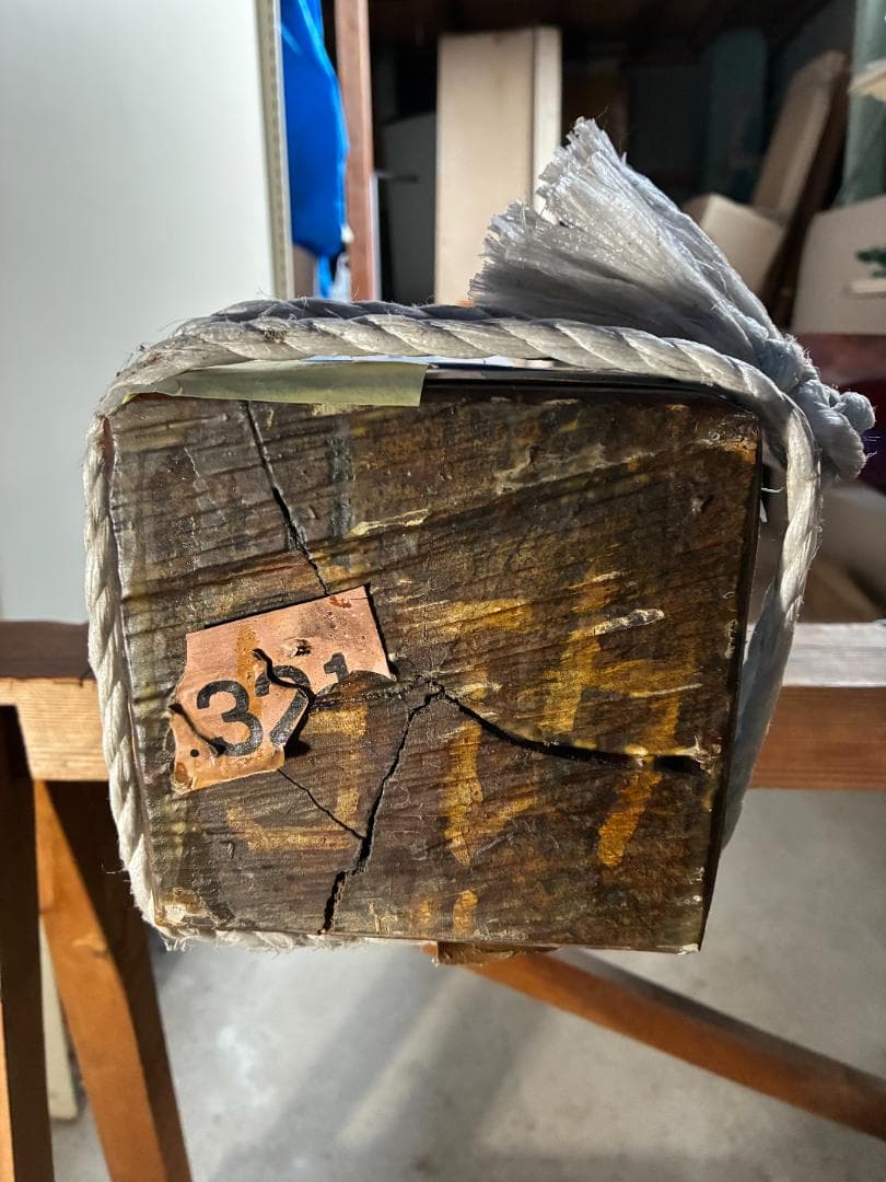 床柱　インドローズ　５寸（15ｃｍ）