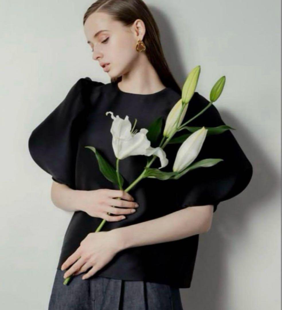 heve シアーバブリーブラウス　ブラック　フリー