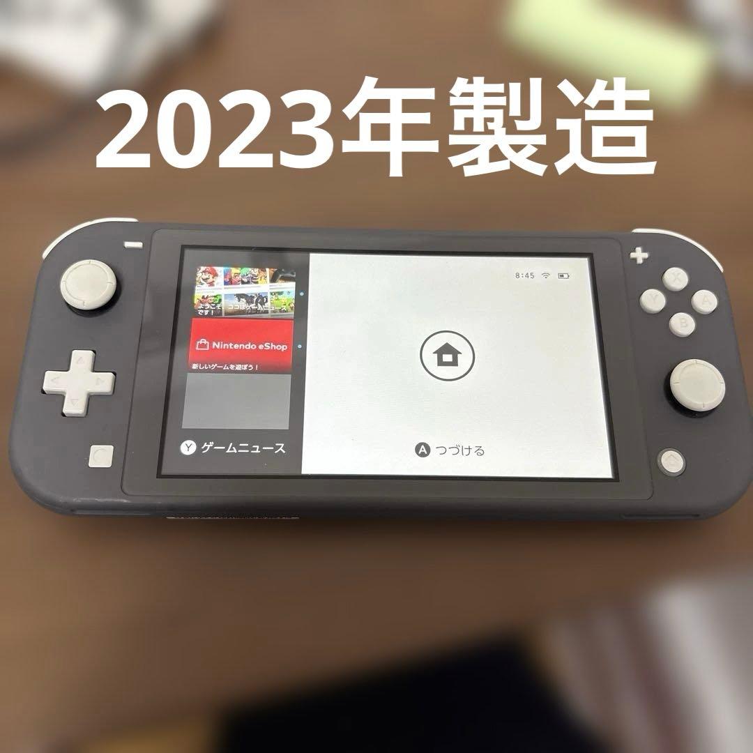 Nintendo Switch Light ニンテンドースイッチ　ライト　グレー