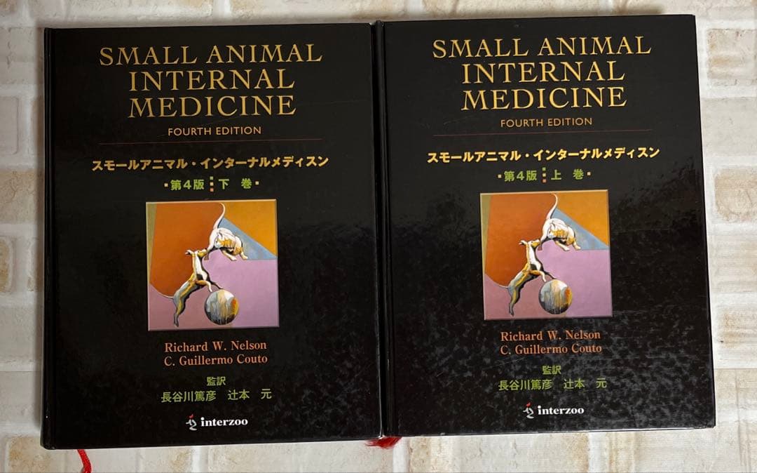 スモールアニマルインターナルメディスン　第4版　上下