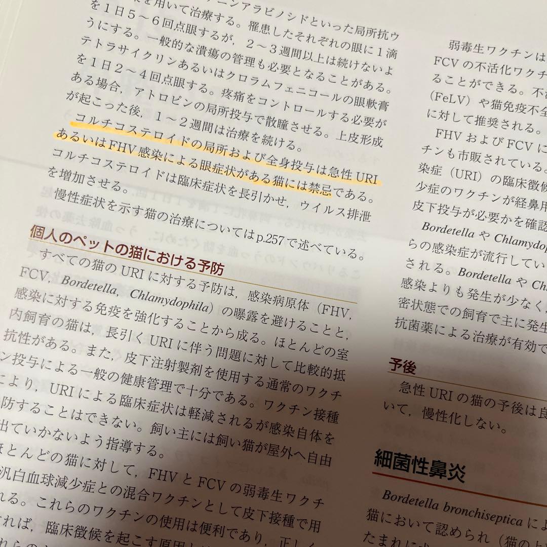 スモールアニマルインターナルメディスン　第4版　上下