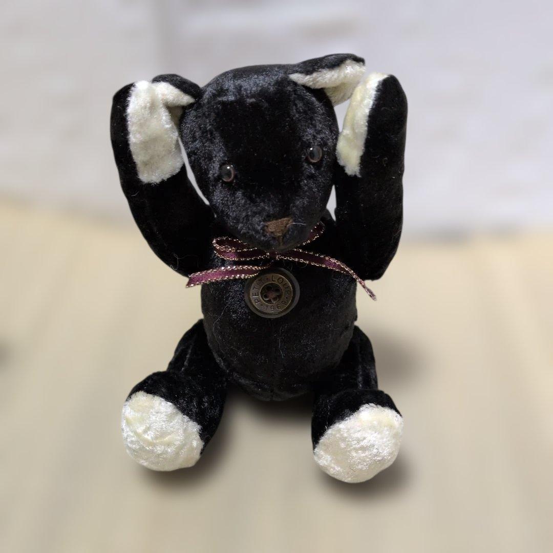 希少　「Petit Loup（プティルウ）」PETIT TEDDY