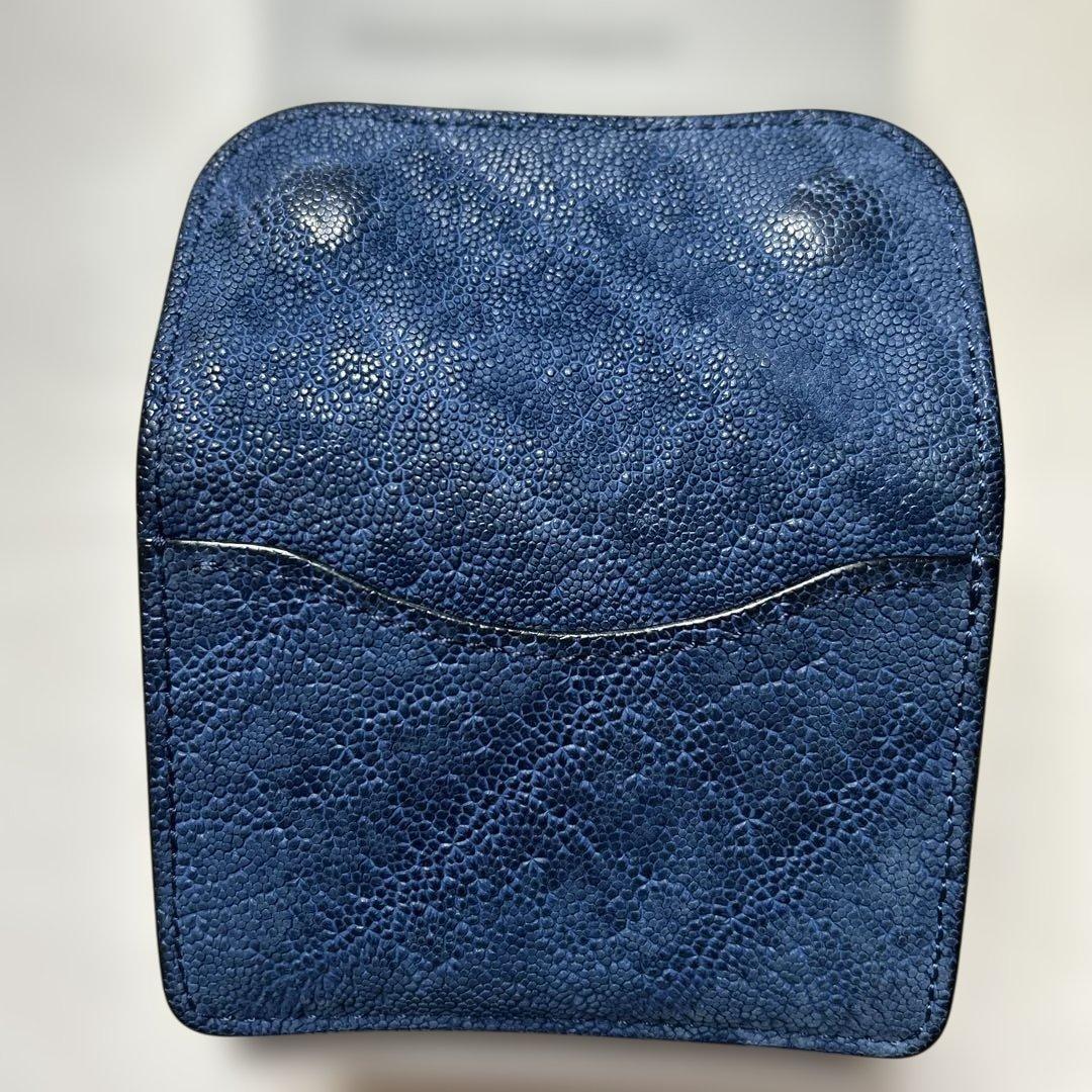 い*ん様 ワイルドスワンズ、タング、エレファント