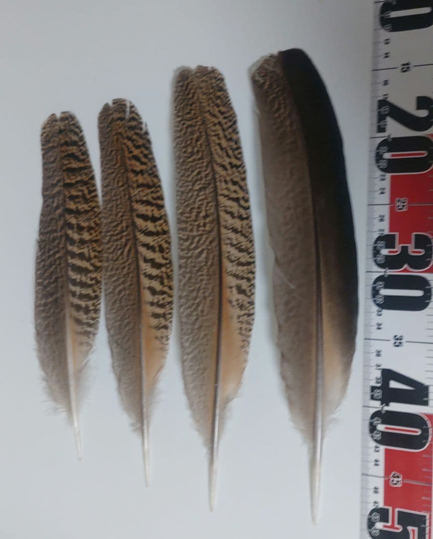 メル94348様 リクエスト 2点 まとめ商品