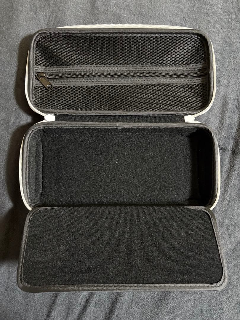 Nintendo Switch Lite ピンク 本体+専用ケース+充電器