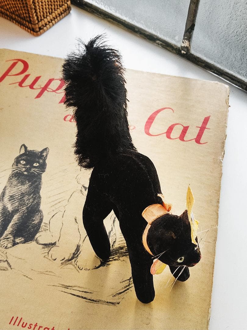 目が点になってるベルベット猫　トムキャット　シュタイフ　★ALL ID’ｓ　黒猫