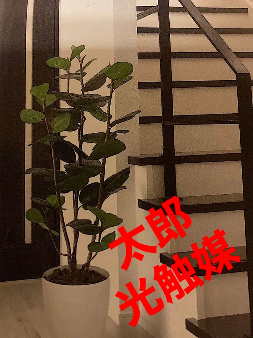 光触媒　人工観葉植物　ウォールグリーン　フェイクグリーン　シーグレープ17