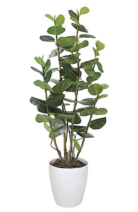 光触媒　人工観葉植物　ウォールグリーン　フェイクグリーン　シーグレープ17