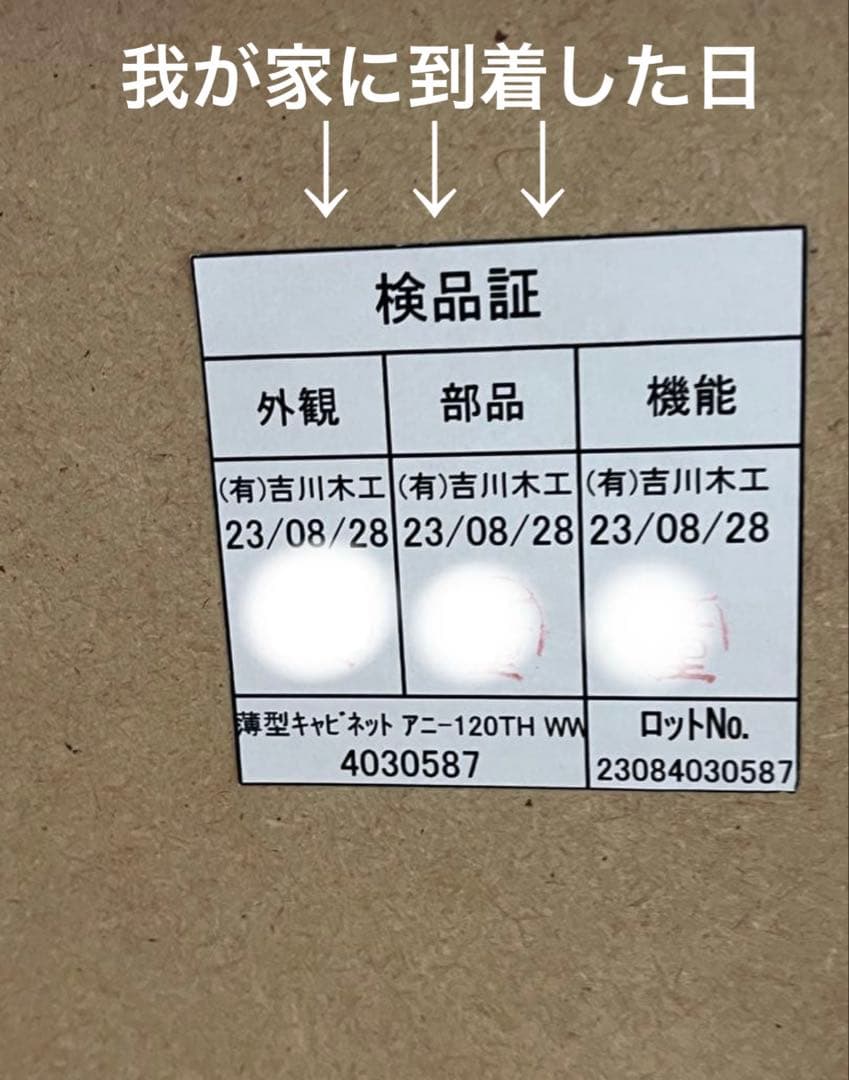 ニトリ[幅120cm]薄型キャビネット アニー120THWW