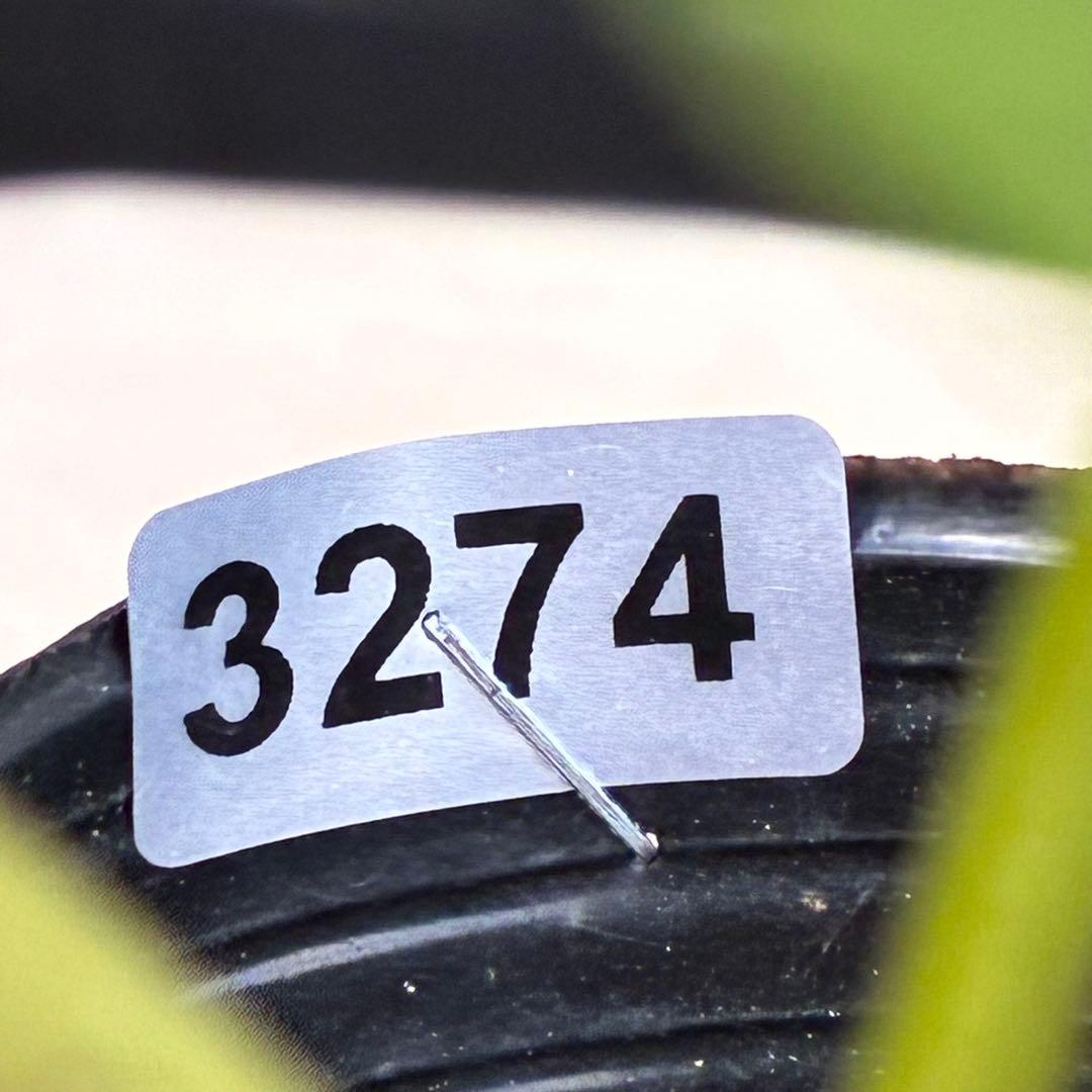 も*子様 ☘️ラスト2☘️開花株❤️根パンパン❤️沢山新芽元気株3274⭐️極上