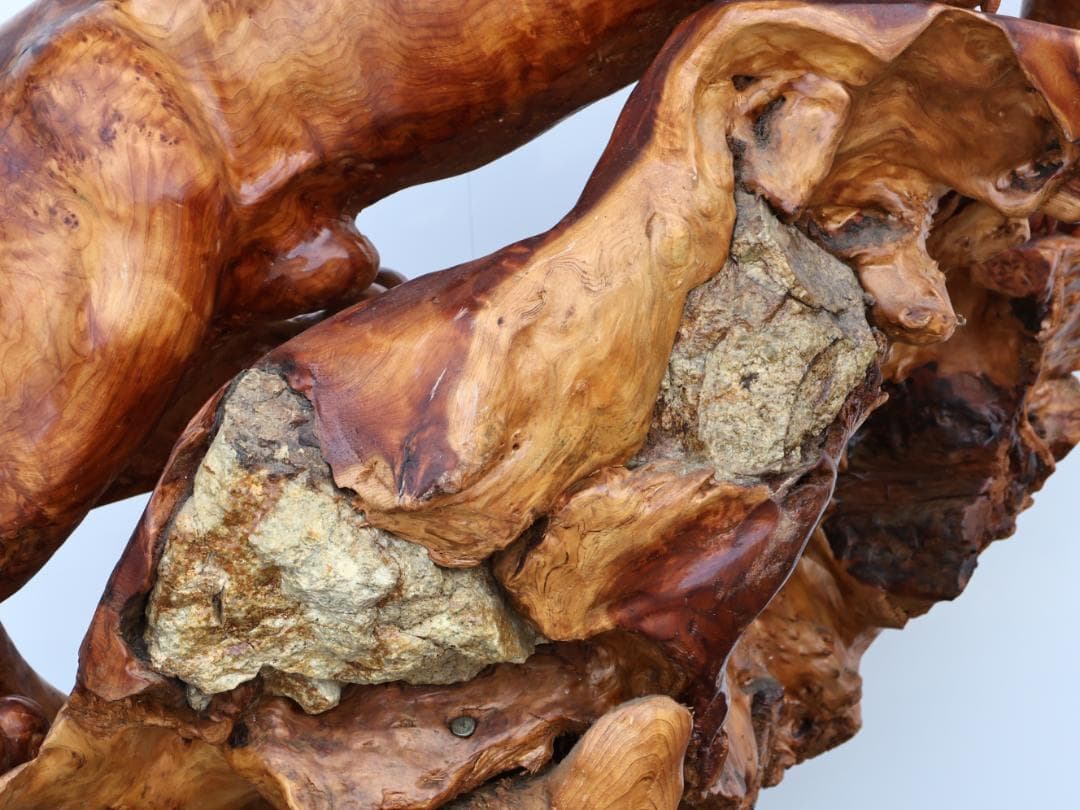 メル82601　木彫　玉杢　泡杢　石噛　一刀彫　豹　眼木象嵌　BK145