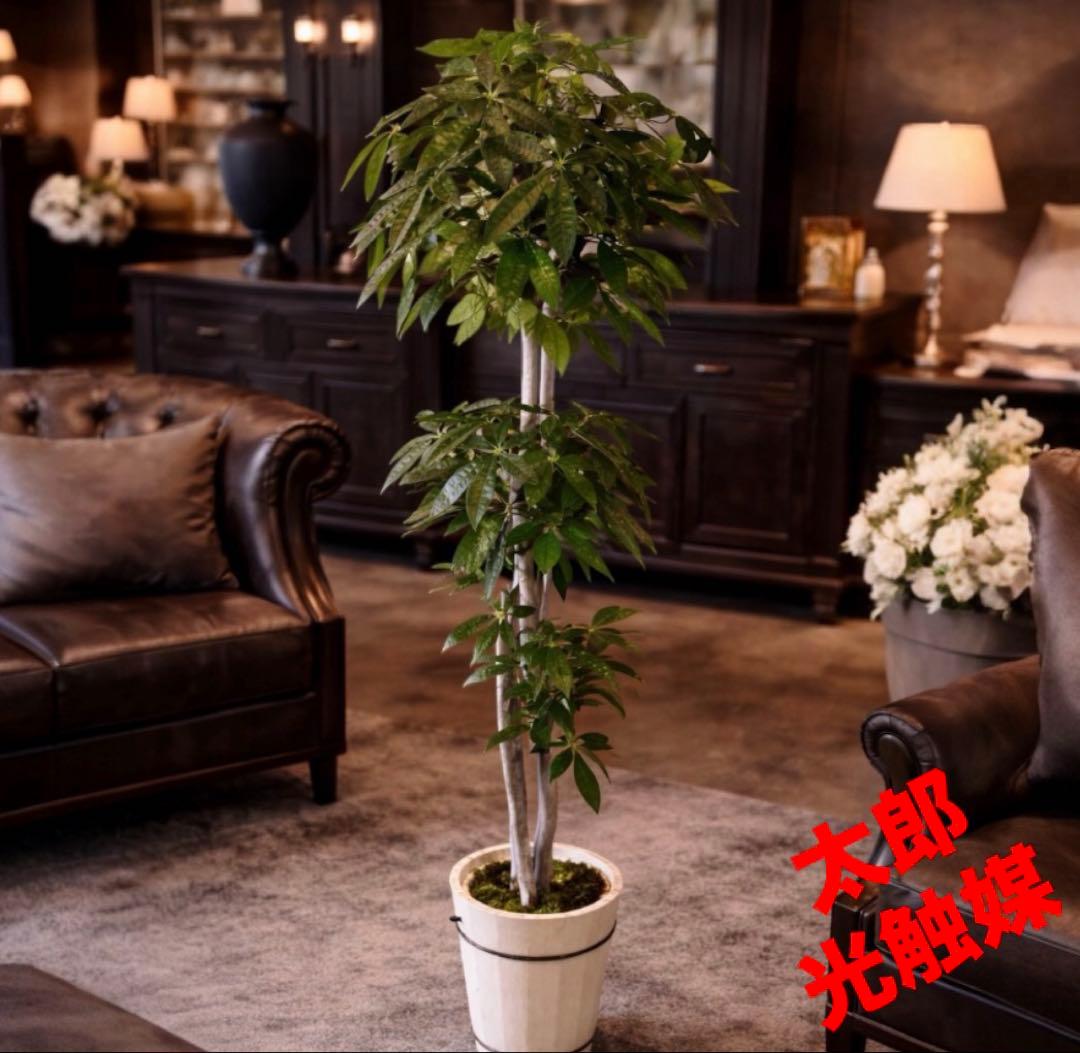 光触媒　人工観葉植物　ウォールグリーン　フェイクグリーン　パキラ特大@gja
