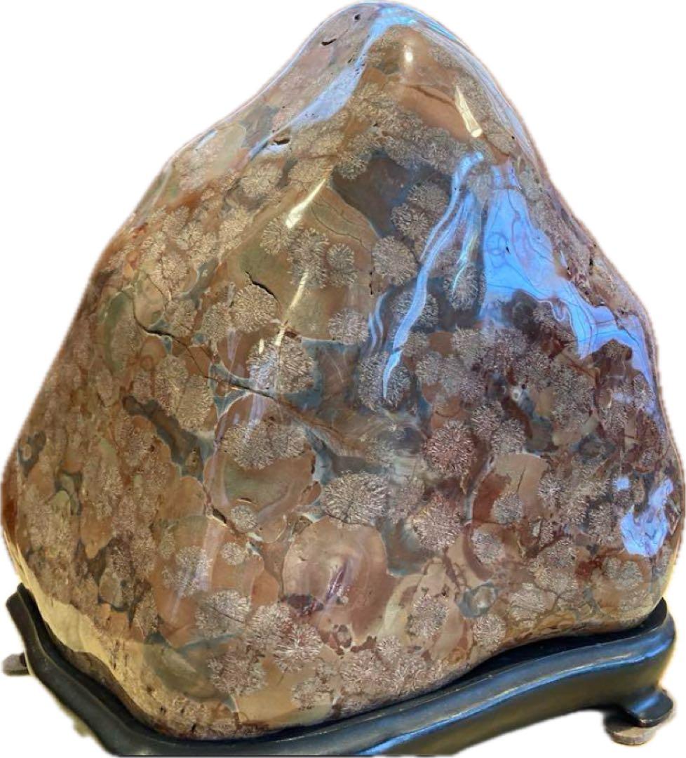 鑑賞用の石・室内飾り『白山紋石や飛騨の菊紋石』約9.7kg