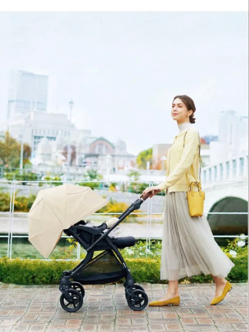 【超美品】ランフィーリノン