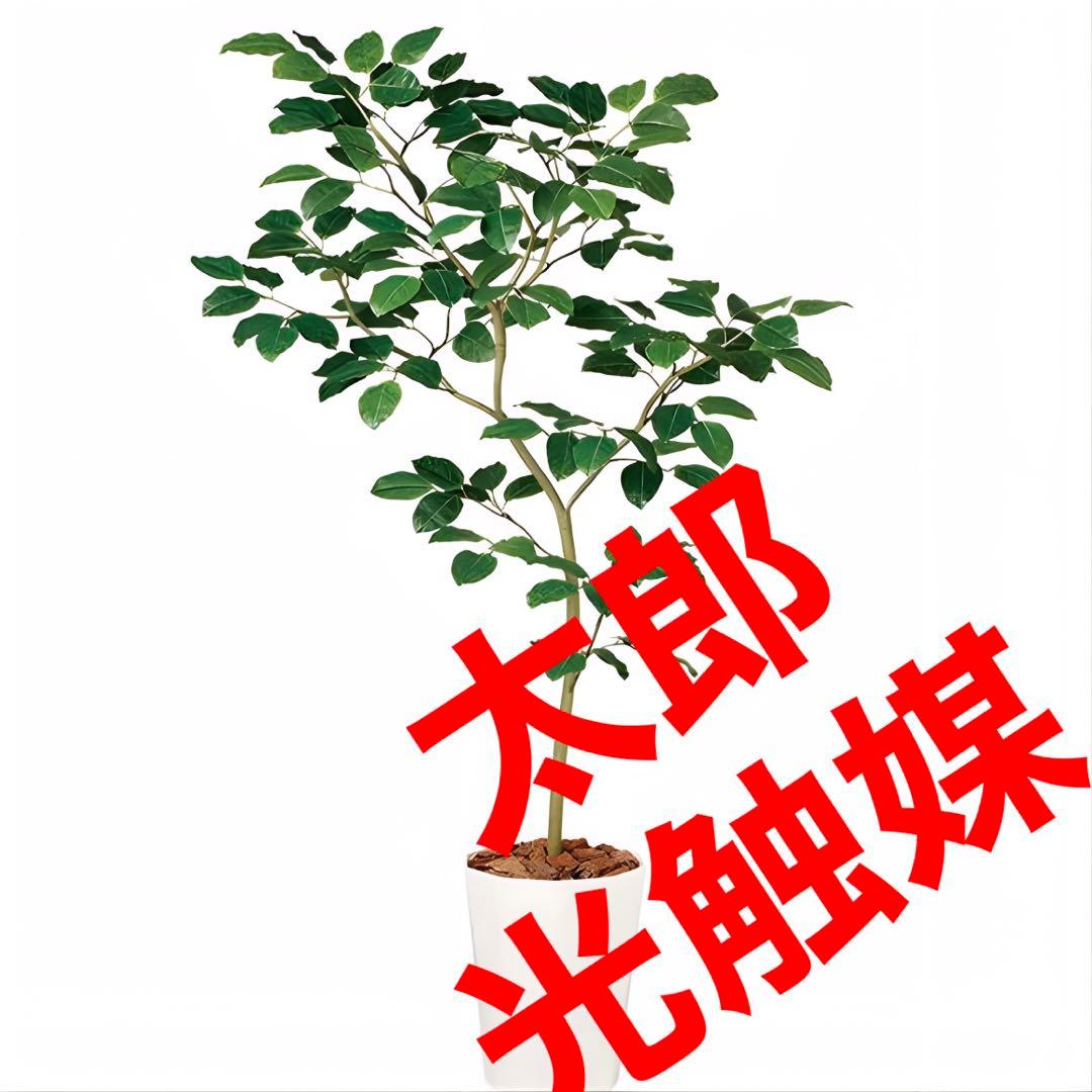 光触媒　人工観葉植物　ウォールグリーン　フェイクグリーン　ベンガルボタイジュ