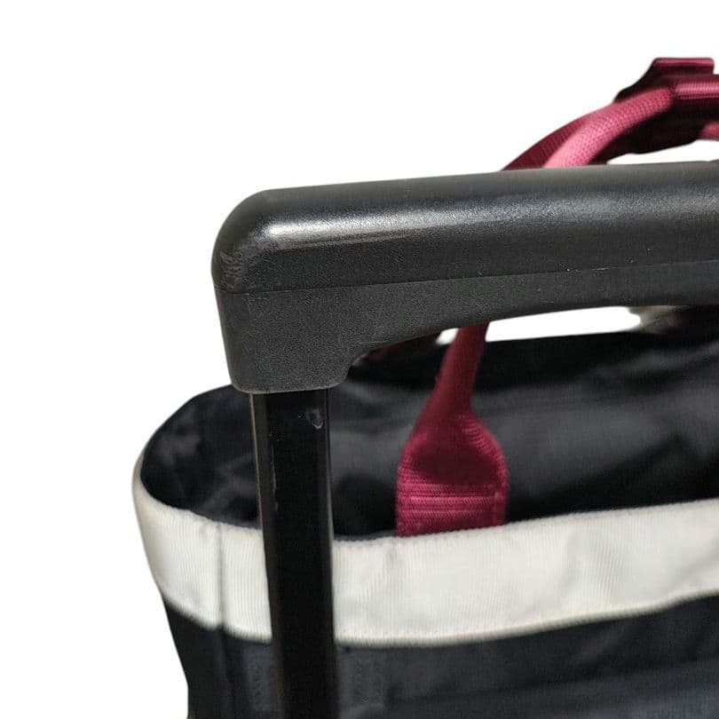 SWANY スワニー イナ 14L ソフトキャリーバッグ ショッピングカート