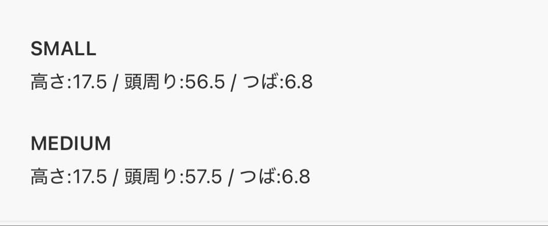 帽子 aeae AE SYMBOL ANGEL WING CAP