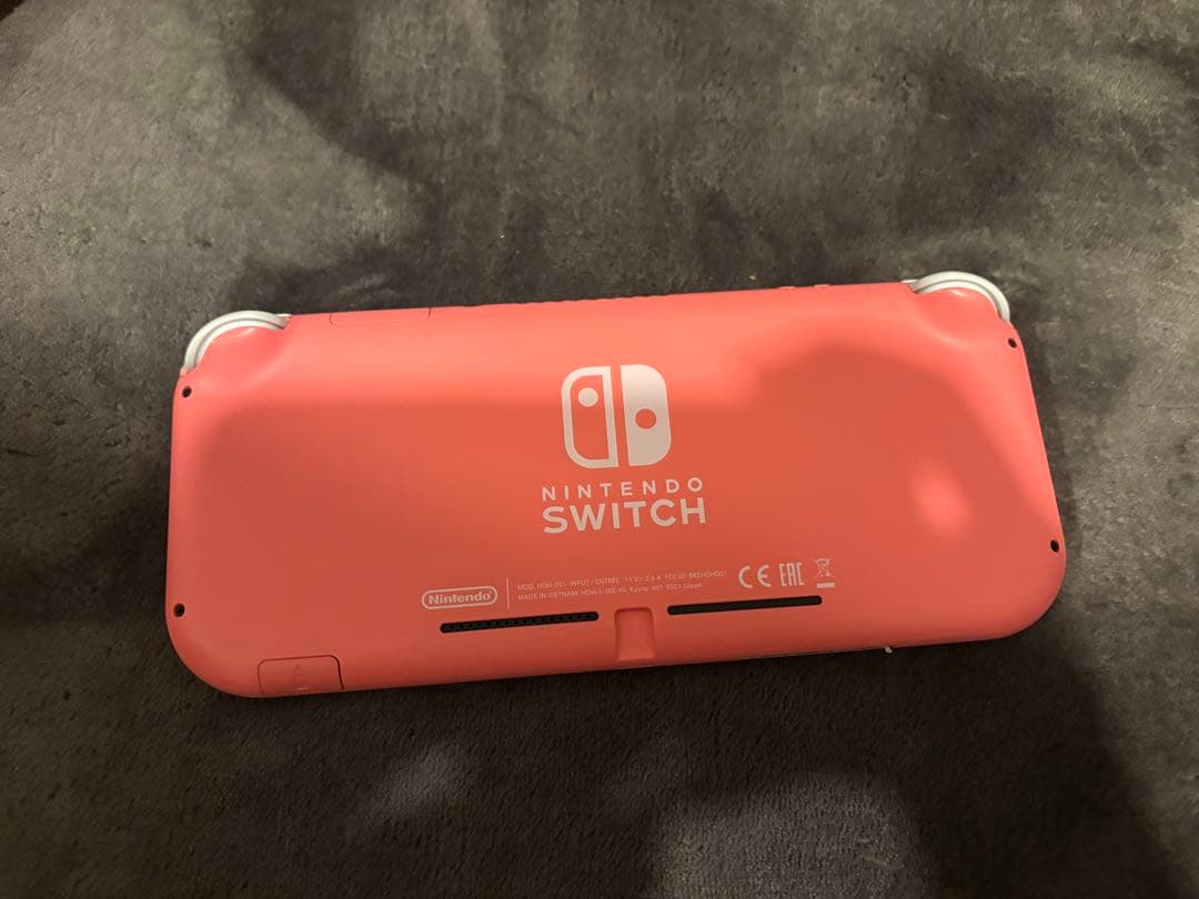 【専用ケース&Minecraft付】 Nintendo Switch Lite