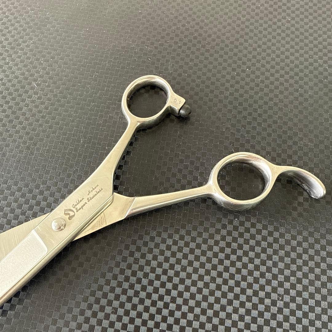 最高級 シザー ハサミ 鋏 Tenyo 天洋GX 美品！
