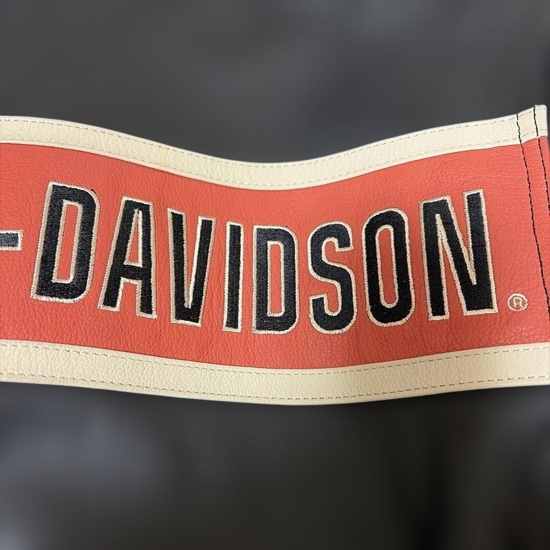 ハーレーダビッドソン 　革ジャン　Sサイズ