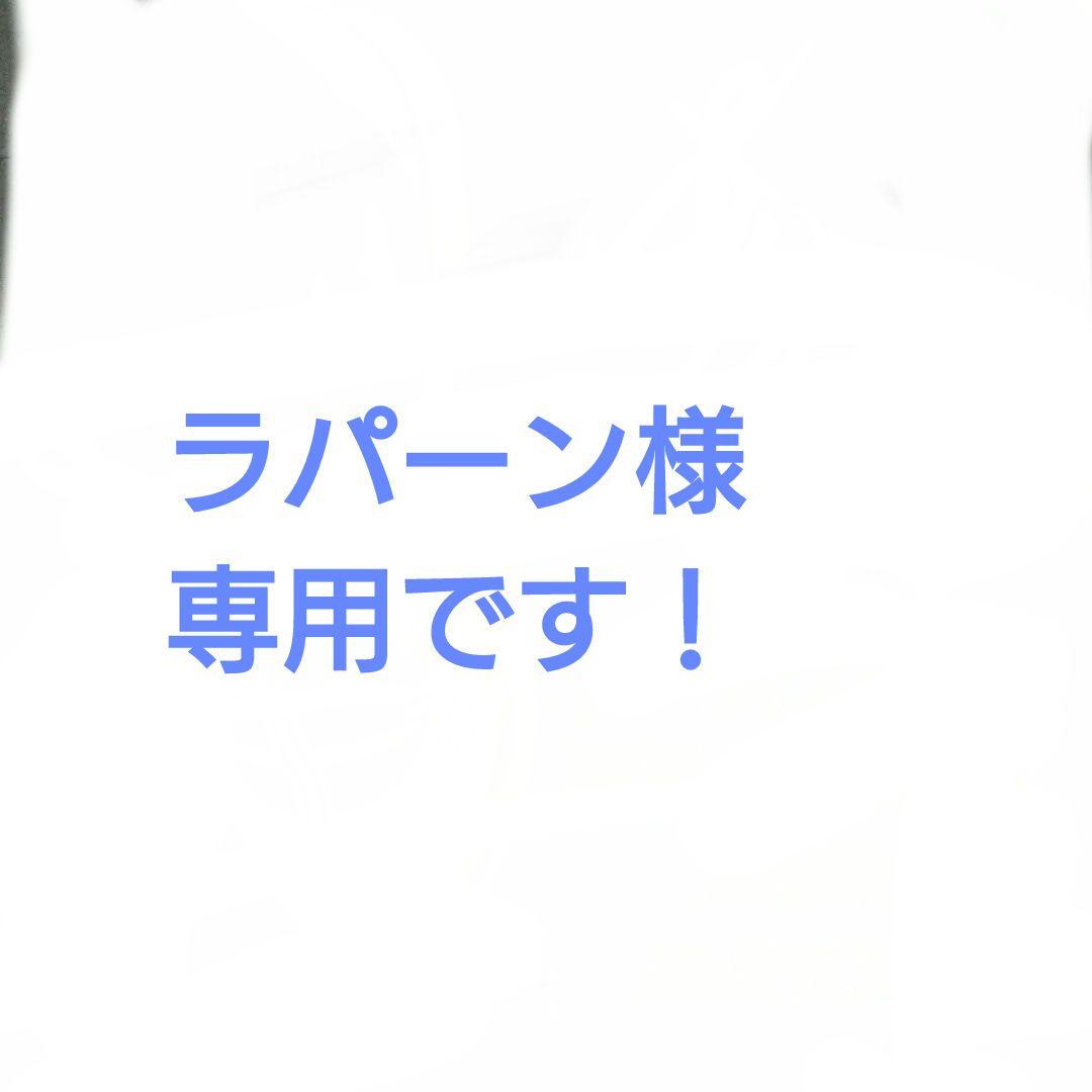 ▲お値下げ▲ノースフェイス 新品未使用 スニーカー 26.5センチ 箱付き