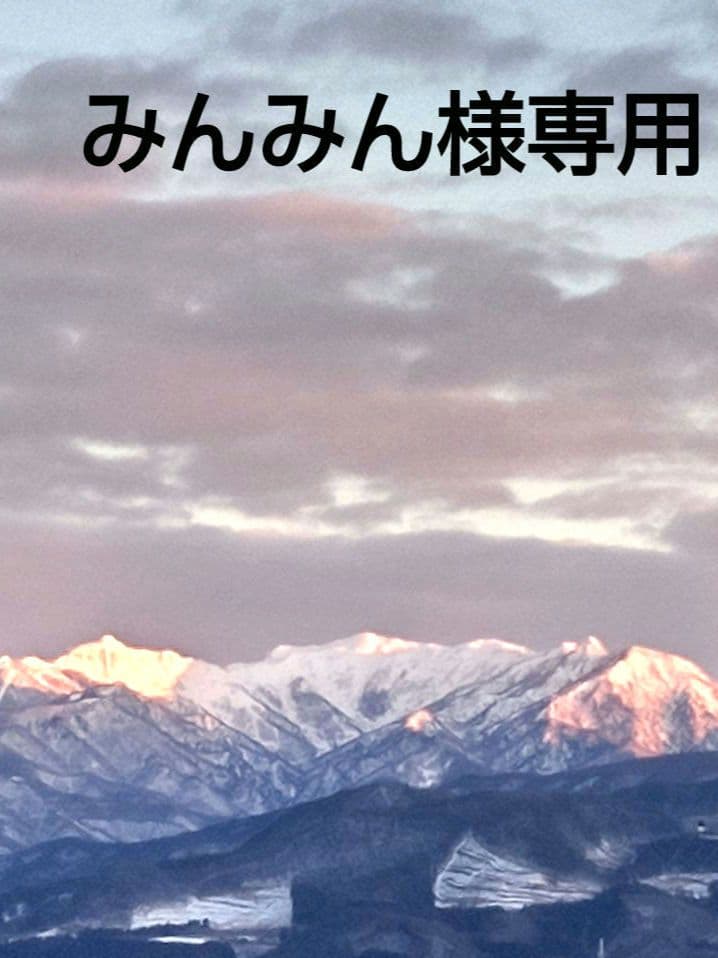 みんみん❗セツブンソウ来春開花予定6球・日向ササユリ2球お届け！！