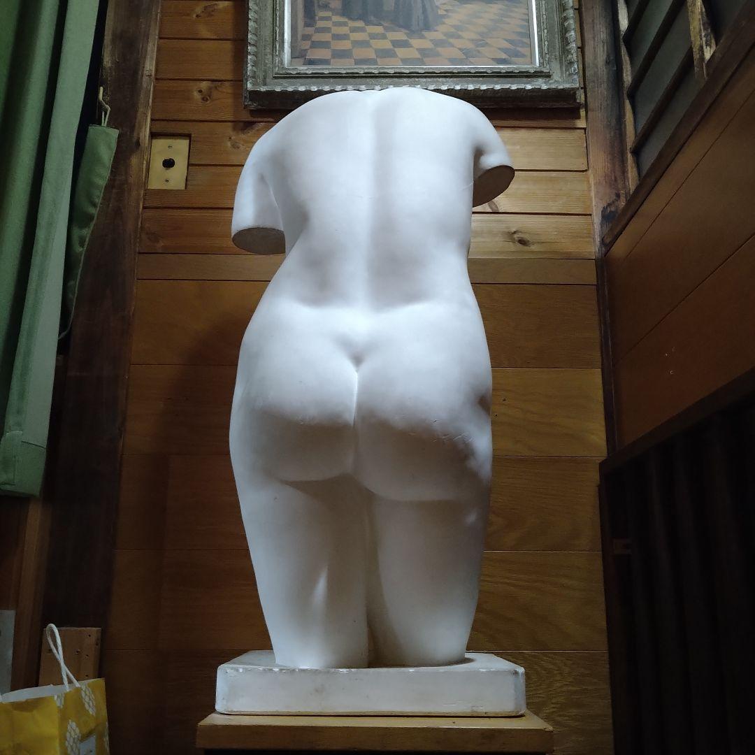 石膏像 トルソー 裸婦像