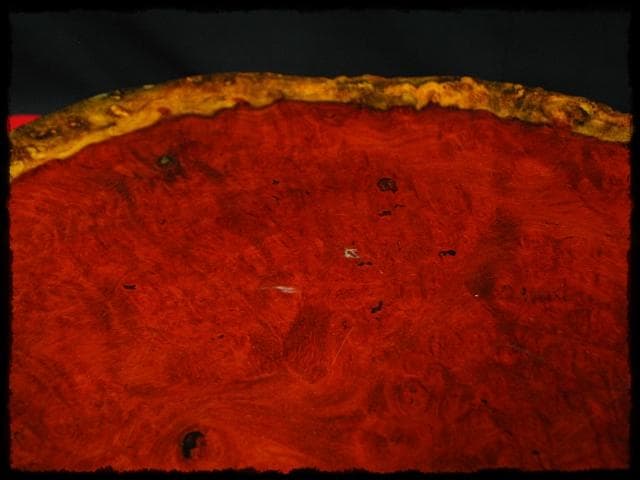 花梨 玉杢 瘤 卓 d76