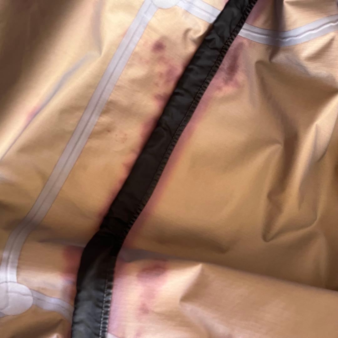 アークテリクスビームス別注 30周年限定 希少 海外もbeams