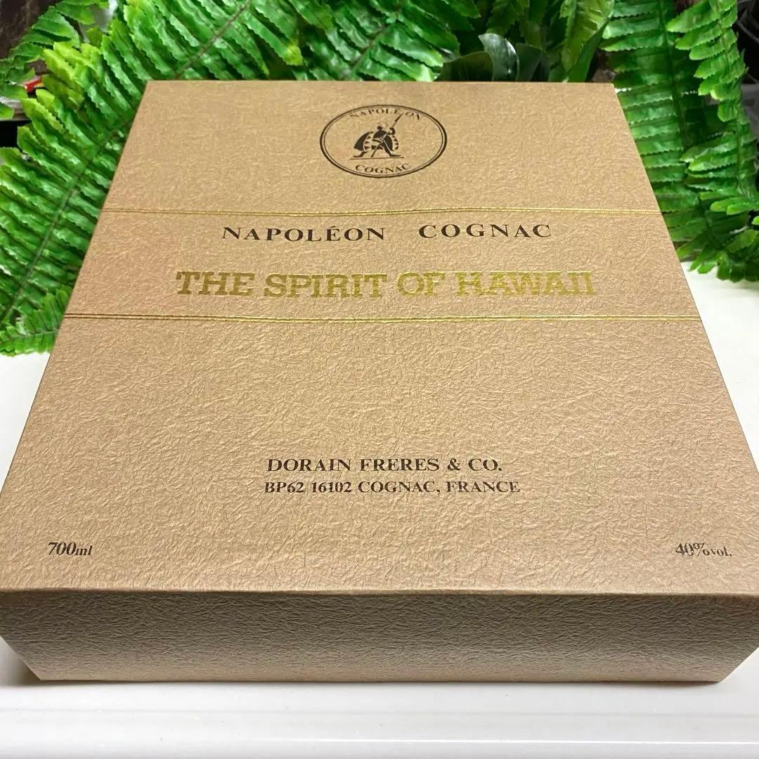 専用 ページ！ ハワイTIKI★TIKIボトル★HAWAII★ナポレオン