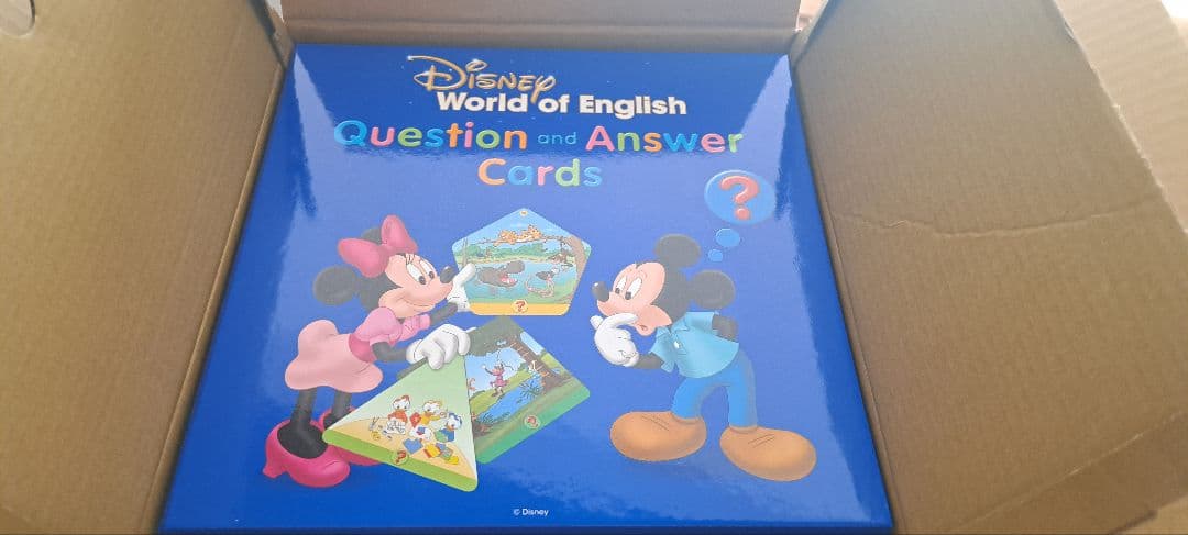 Disney World of English 質問と回答カード