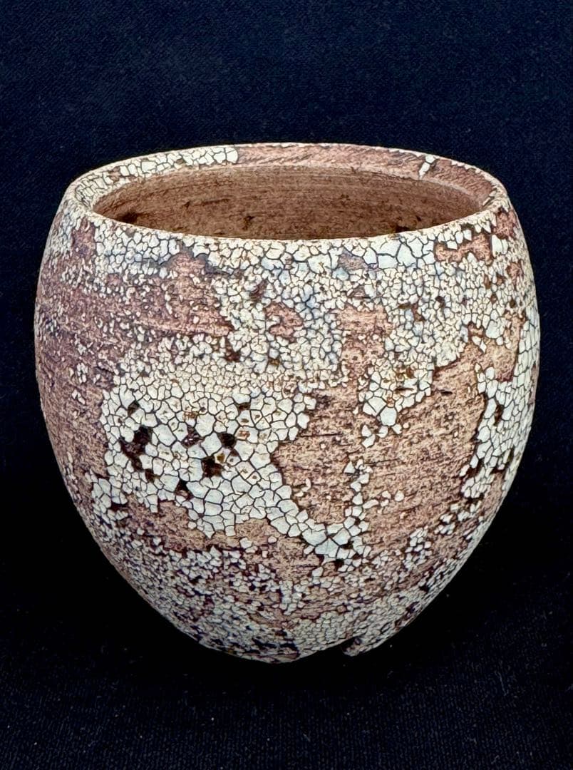 konect mad web mushi -kui 01S 鉢