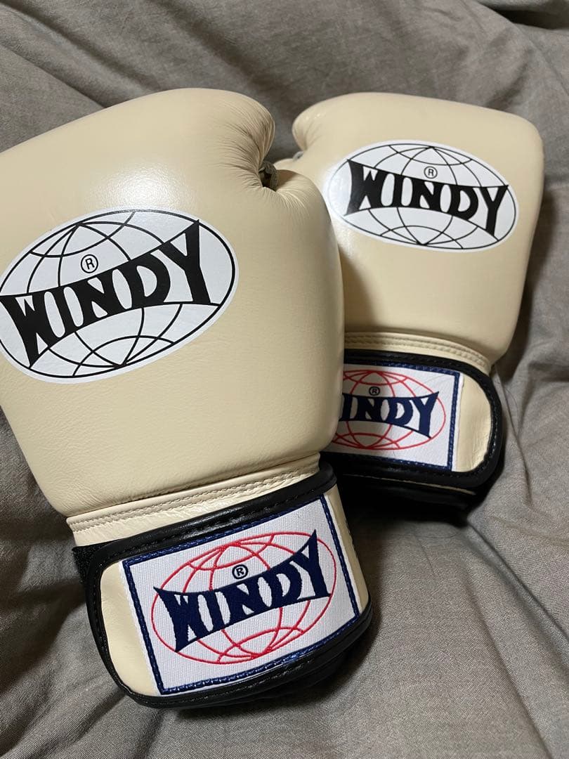 【あーちゃん♡】WINDY ボクシンググローブ