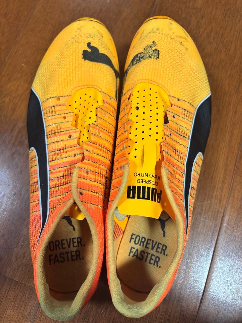 エヴォスピードスプリントニトロ2