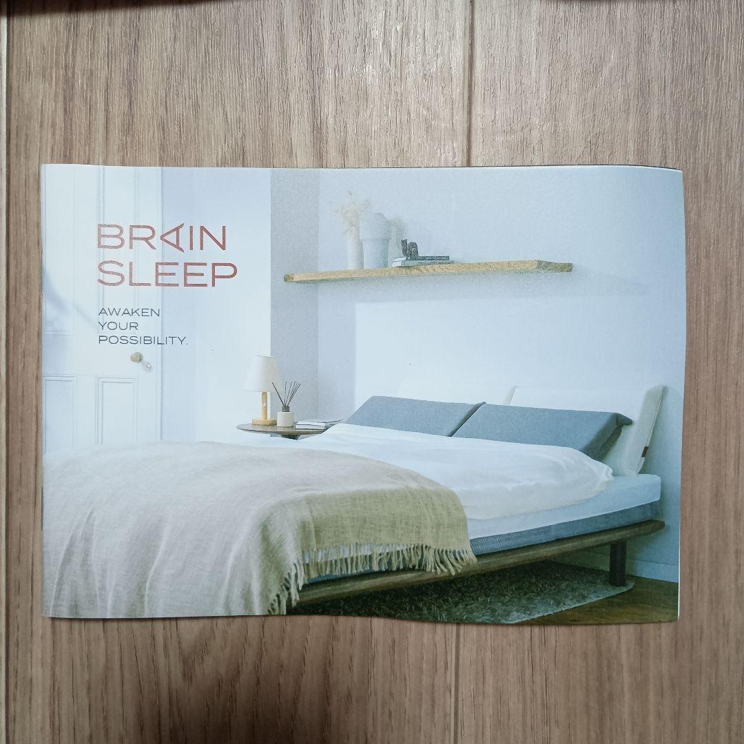 [BRAIN SLEEP]　ブレインスリープ ピロー カバー ×2