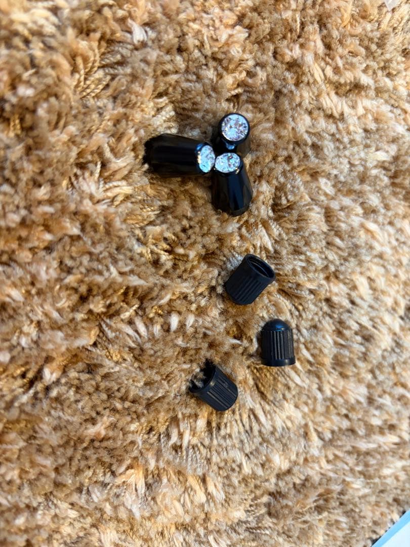 限定版カスタムAirBuggy for Dog DOME3 Regular