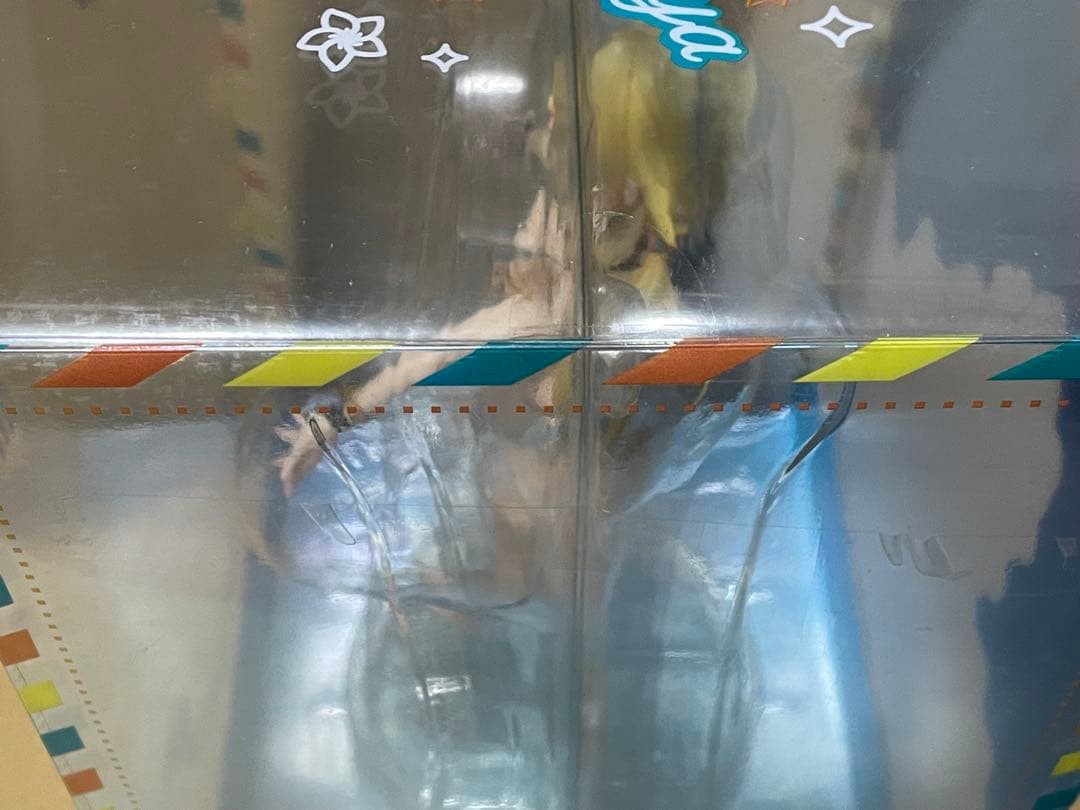 【夏に恋するピチカート!】 八宮めぐる 「アイドルマスター シャイニーカラーズ…