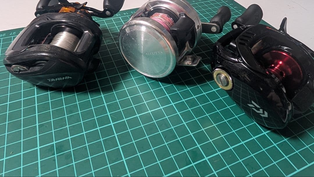 バラ売りなし タトゥーラ T3 カルカッタ