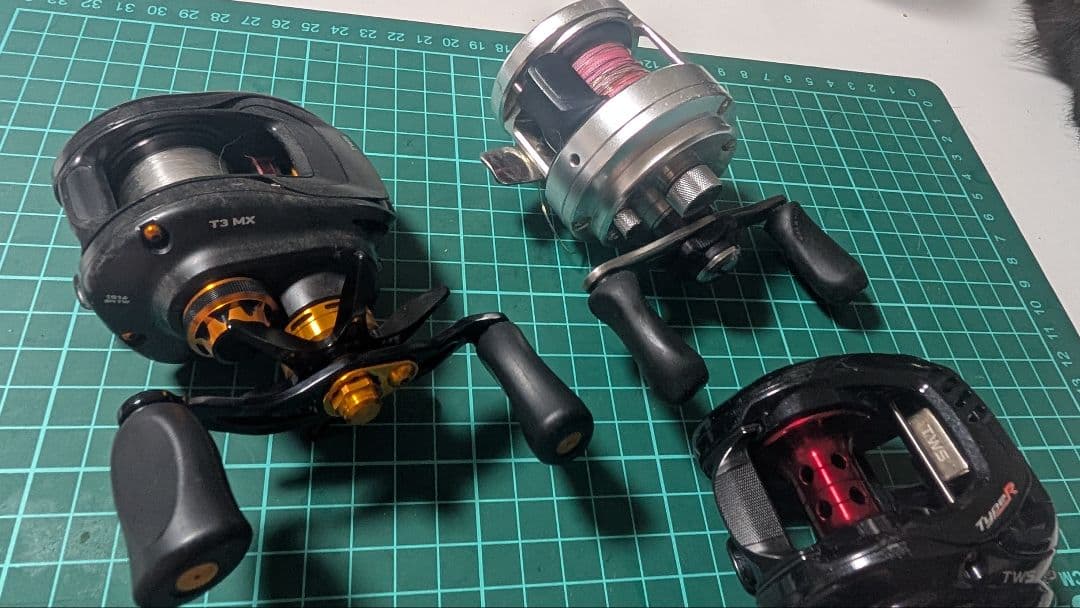 バラ売りなし タトゥーラ T3 カルカッタ