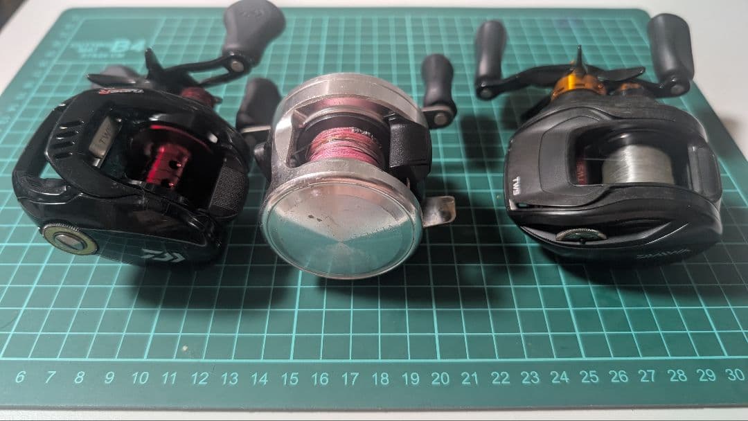 バラ売りなし タトゥーラ T3 カルカッタ