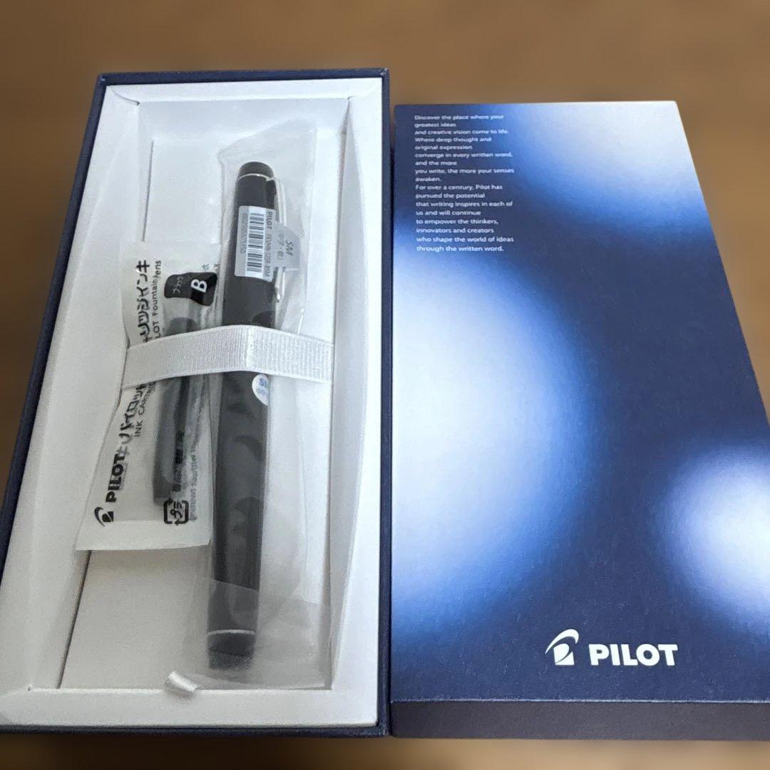 パイロット 万年筆 カスタムヘイジ91 ソフト中字 FKVHN-12SR-BSM