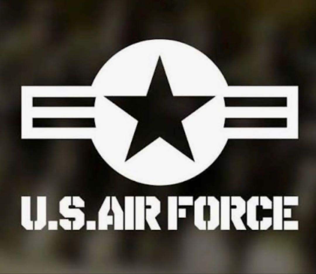 ジャケット・アウター AVIREX MA-1 COMMERCIAL silver color