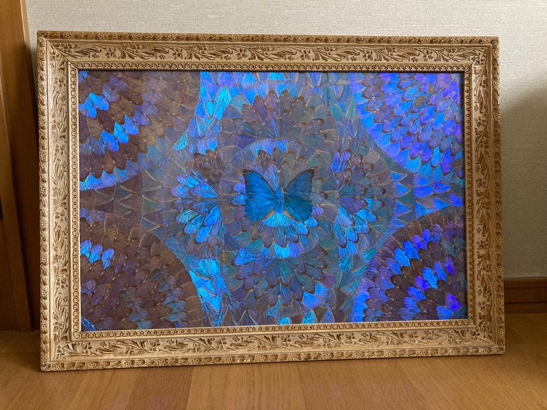 モルフォ蝶　大型額入り美術品　 約49cm✖️69cm