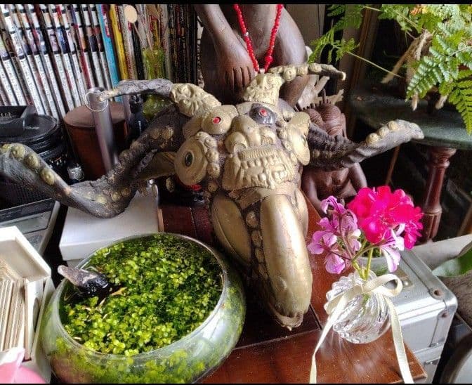 呪物ゴートスカル　チベット密教　法具　チベット　山羊のカパラ　ヴィンテージ