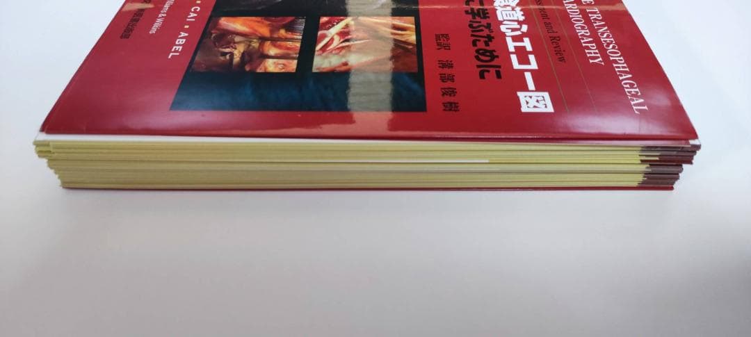 【裁断済み】周術期経食道心エコー図 : 効率的に学ぶために