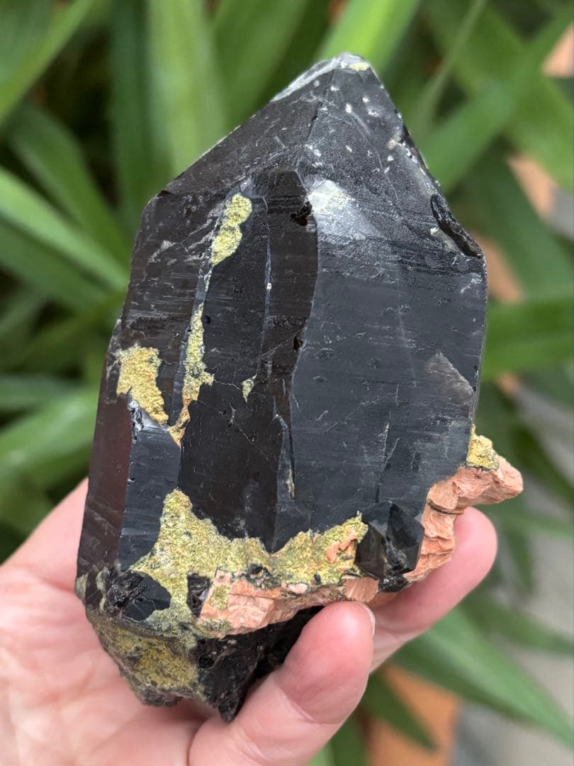 中国山東省産　モリオン　ポイント　557g エピドートあり　台座付　力強さ