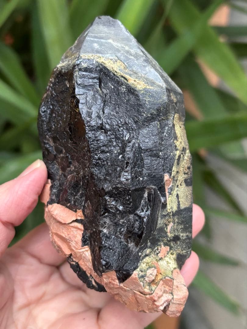 中国山東省産　モリオン　ポイント　557g エピドートあり　台座付　力強さ